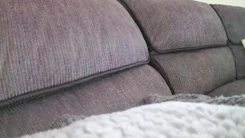 mexianthehawk online show from 03-30-26, 04:35