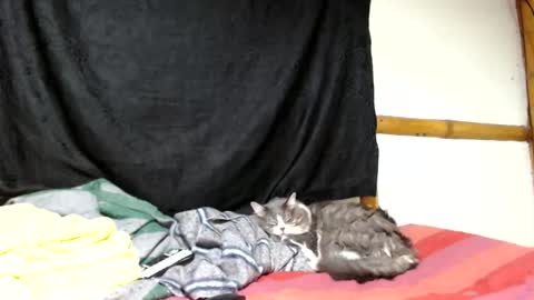 Mia  Sam online show from 05-18-26, 04:07