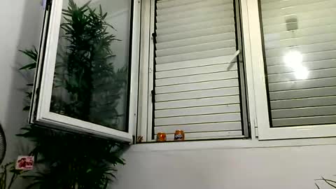 Snapshot of mich6921 chatting on 06-28-26, 12:27 MILO MIAMI online show from 06-28-26, 12:27