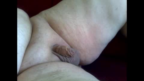 micropimmel online show from 01-18-26, 12:53