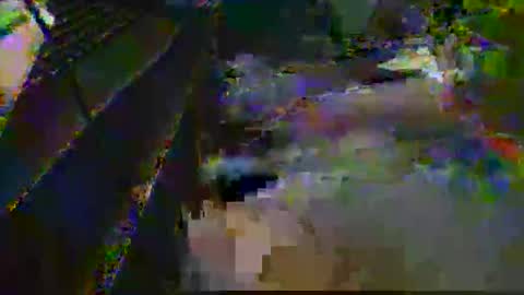 midtownhustler online show from 03-25-26, 03:07