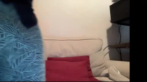 MIke online show from 05-22-26, 10:54