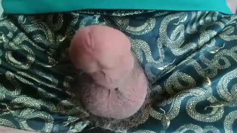 miketrike137 online show from 04-22-26, 10:22