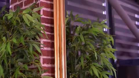 Milla online show from 01-10-26, 07:54