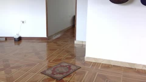 misternocturne online show from 04-20-26, 05:59