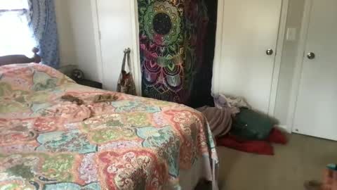 MistyVale online show from 01-21-25, 04:48