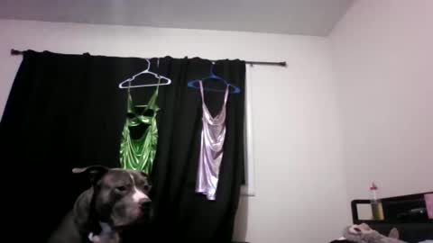 miztrezk online show from 05-12-26, 02:08