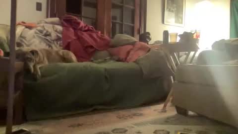 Mizz Storm online show from 03-15-26, 03:45