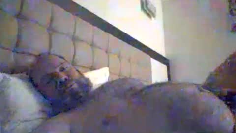 Snapshot of mofu781s chatting on 01-08-26, 08:55 mofu781s online show from 01-08-26, 08:55