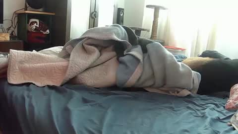 mojoe420 online show from 11-29-25, 04:43