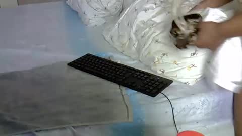 mollyn online show from 03-18-26, 10:51