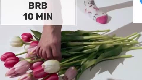 Mommy online show from 02-17-26, 01:46