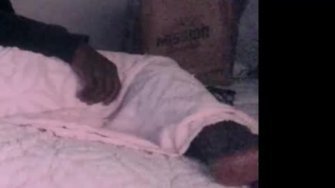 Snapshot of montydxxx2 chatting on 02-03-26, 06:40 montydxxx2 online show from 02-03-26, 06:40
