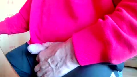 Snapshot of mookie2 chatting on 03-23-26, 04:55 mookie2 online show from 03-23-26, 04:55