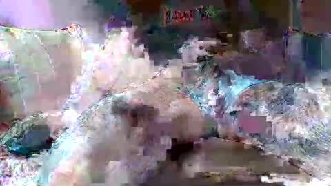 morboso2563 online show from 11-21-25, 10:30