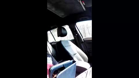 Nomadu online show from 03-14-26, 10:42