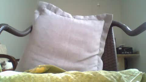 Snapshot of mountfort1967 chatting on 07-20-26, 03:14 mountfort1967 online show from 07-20-26, 03:14