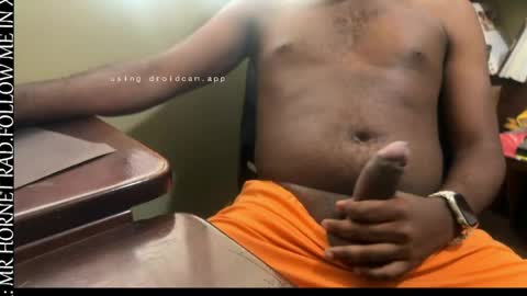 mr_hornet_rad online show from 04-12-26, 06:57