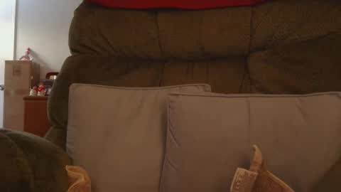 Snapshot of mrbrigggs chatting on 01-09-26, 01:03 mrbrigggs online show from 01-09-26, 01:03