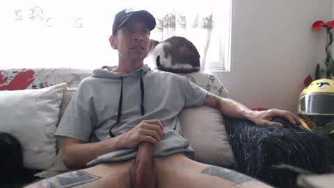 mrcock_col online show from 04-08-26, 05:13