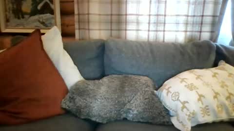 Snapshot of mrpornstar33 chatting on 03-27-26, 04:51 Twinsoulsex online show from 03-27-26, 04:51