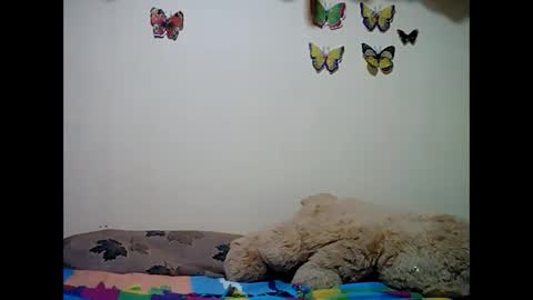 ms_teery online show from 12-08-24, 12:30