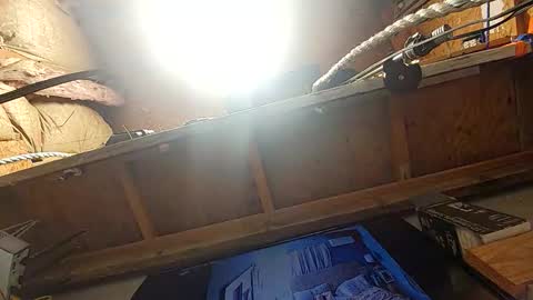 Msivy online show from 02-08-26, 12:19