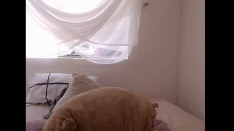   online show from 04-06-26, 06:42