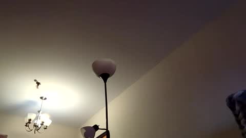 mutualmasturbatorman online show from 04-19-26, 04:28