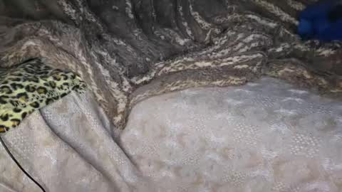 Muzzy online show from 04-18-26, 10:43