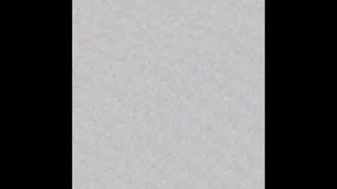 ghost mantis online show from 03-02-25, 10:05