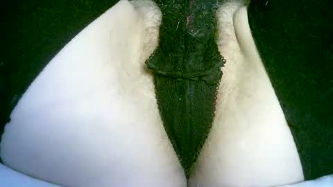 my_tightholes online show from 07-10-26, 04:09