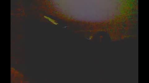 myassfatsowhat online show from 01-05-25, 04:58