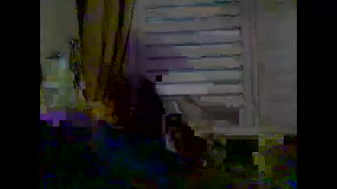 mycockissohard2021 online show from 05-02-26, 03:55