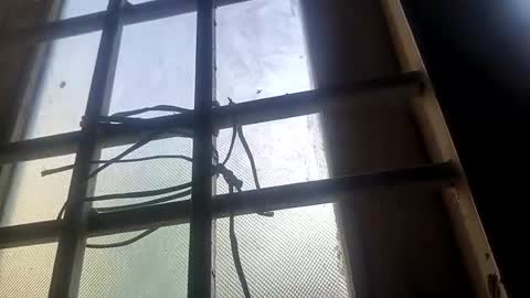 Mysolo1987 online show from 04-07-26, 12:27