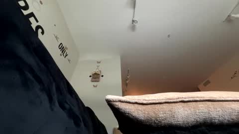   Mystery   online show from 05-02-26, 04:01