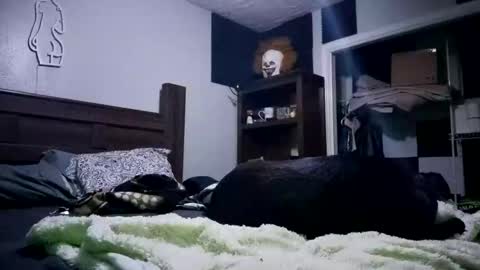 nackjamesontag69 online show from 02-07-26, 09:35