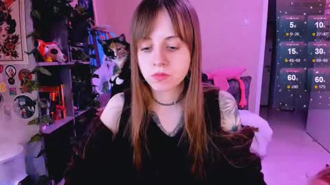 Monday-Friday 12-4 AM and 6-9 AM New York time online show from 02-24-25, 11:52