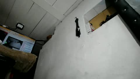 Snapshot of nattasha_foxx chatting on 06-23-26, 02:09 natalia online show from 06-23-26, 02:09