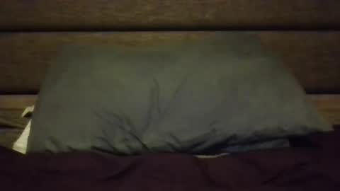 Nerfylil online show from 01-08-26, 04:37