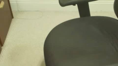 newneedy online show from 04-24-26, 04:42