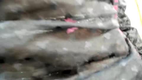 Snapshot of nicesweetwap chatting on 10-26-25, 09:31 Bianca online show from 10-26-25, 09:31