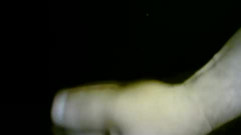 nicholaastavrou19 online show from 04-01-26, 12:00