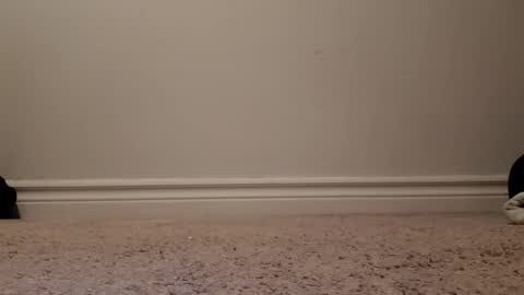 Snapshot of nicoleandbrian chatting on 12-31-24, 09:06 nicoleandbrian online show from 12-31-24, 09:06