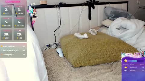 nikaking22 online show from 12-24-24, 01:27