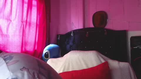 Snapshot of nikkirous_ chatting on 05-29-26, 12:47 Nikkirous online show from 05-29-26, 12:47
