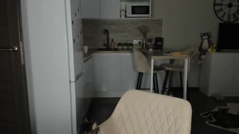 Bella online show from 02-21-26, 12:55