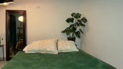 noah_and_steven online show from 06-11-26, 12:32