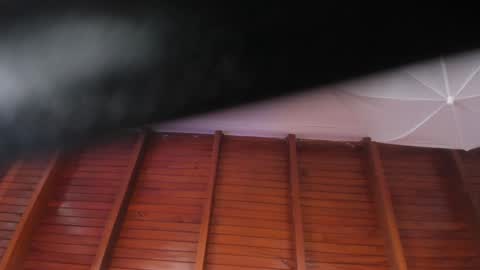 Sara  online show from 01-18-25, 04:31