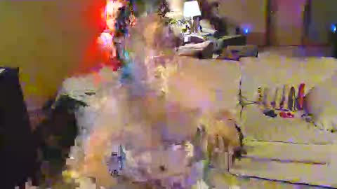 norules2323 online show from 04-26-26, 03:59